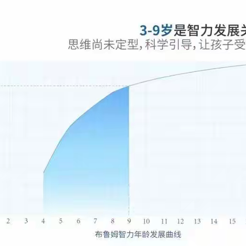 资优数学思维课程开课啦！