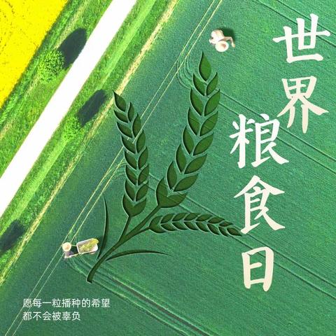 不负好“食”光——五（1）中队国旗下表演