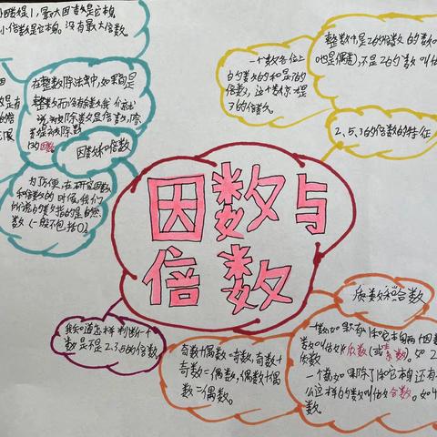 506班数学第二单元知识点思维导图欣赏