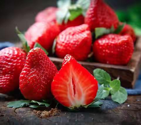 夫沃施微课堂-草莓定植管理中易出现的漏洞及注意要点