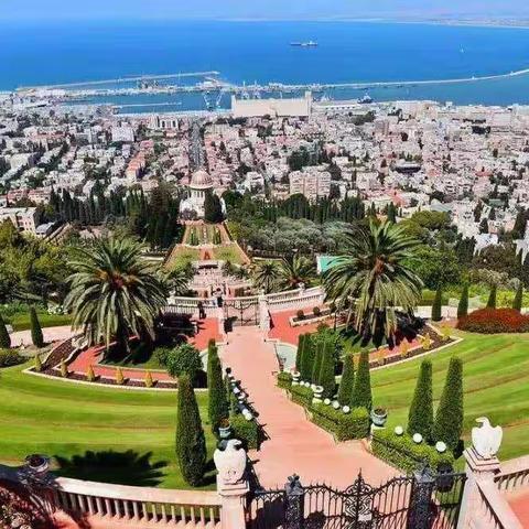 沃叶—忠于品质 畅销中国🇨🇳