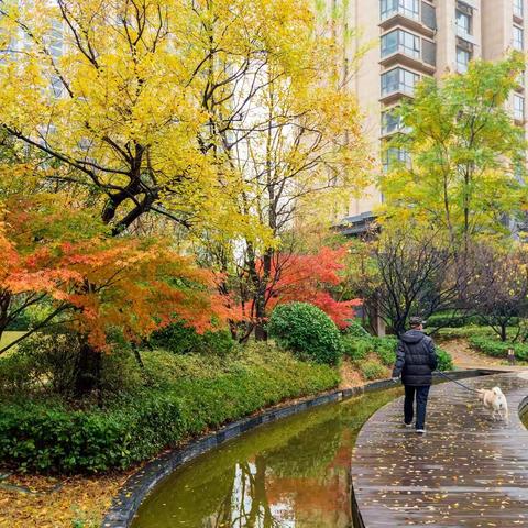 小雪.小区.小景