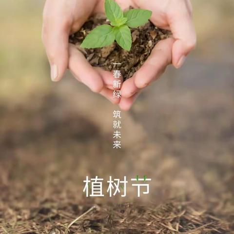 建民办黄沟幼儿园大四班植树节——🌱我为春天曾点绿🌱主题活动