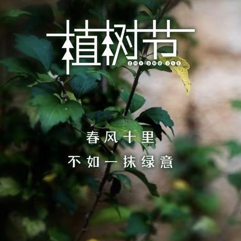 《我为幼儿园添色彩》——厚镇中心幼儿园植树节活动