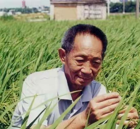 人之初华润幼儿园开展“ 爱惜粮食从我做起”主题系列活动