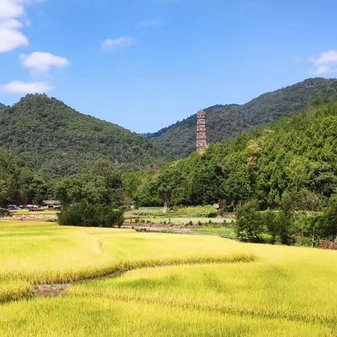 高山流水