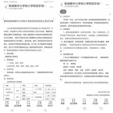 “共赴一场春日下的检阅”--记桃墟镇中心学校小学线上教学阶段性测试