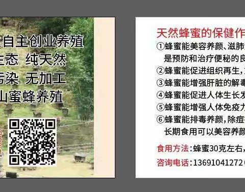 90后大学生自主创业，深山蜜蜂养殖