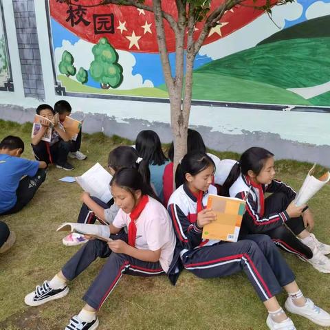 河西小学第三周活动总结
