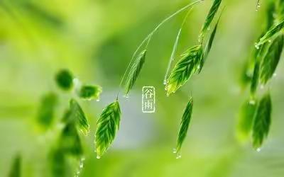 谷雨润春苗 文化润童心