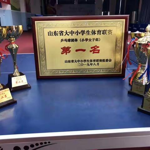 扬少年神采      振国球雄风