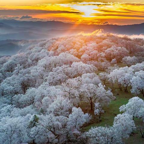 重阳节，我的四方顶奇遇