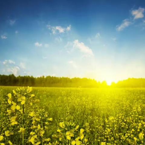 【智育】线上同行，行知学子共盼“春”来