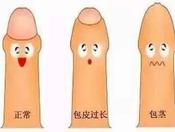 暑假青春健康季