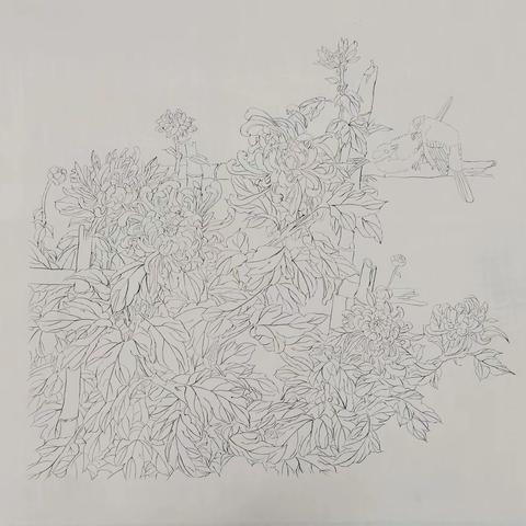 琼台师范学院美术学院美术学专业教学课业展示-2020美术学国画班《白描》