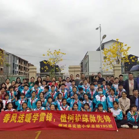 “春风送暖学雷锋,植树护绿做先锋”——柳城县实验小学总部195班学雷锋植树主题活动