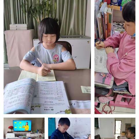 朝阳小学二六班宅家的那些事