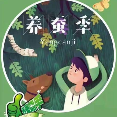 萌娃养蚕初体验——峡江县幼儿园中一班养蚕记