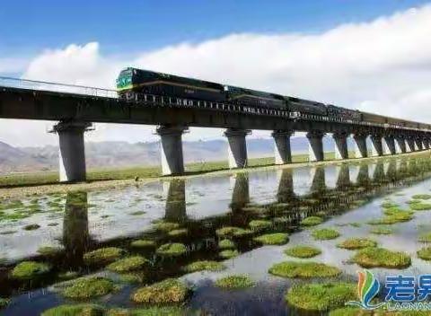 旅客列车严重晚点处置预案北京二队k9484一组