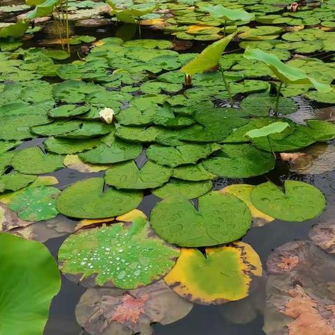 雨中参观博物馆