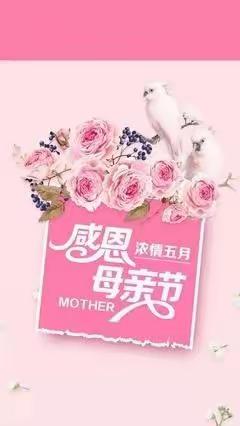 浓情五月感恩母亲