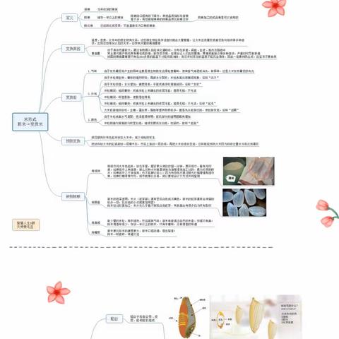 思维大爆炸——米