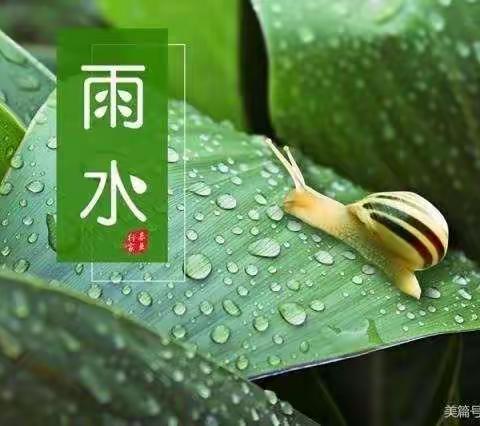 “雨水迎春天，节气伴雨来”—曹妃甸区第九农场中心幼儿园二十四节气雨水主题教育活动