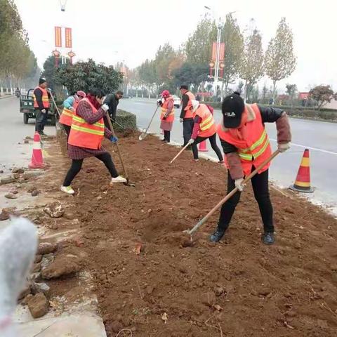 开发区城市建设管理局12月1日工作动态