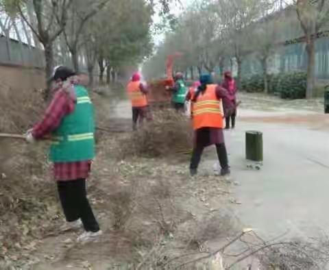 开发区城市建设管理局12月6日工作动态