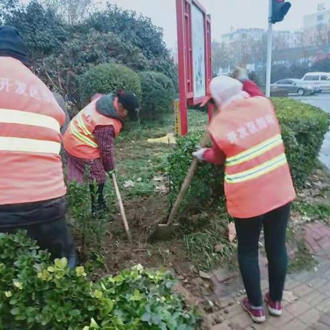 开发区城市建设管理局12月16日工作动态