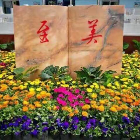 共美课堂新启航——三实小召开新入职教师学习交流会
