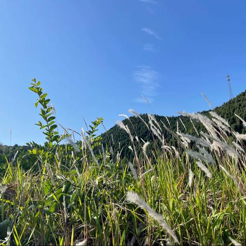 《雨后山谷》