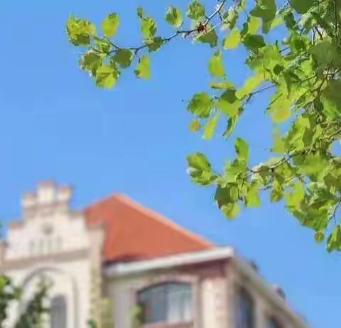 六月夏意浓，教研正缤纷——永城六中开展语文教研活动