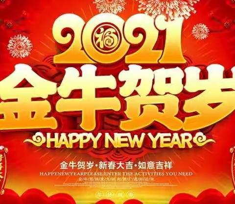 🌾“万物更新，旧疾当愈”“告别2020，迎接2021”🌾华宇星光幼儿园12月简报