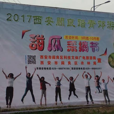 2017年阎良甜瓜节隆重开幕！2017-03-29