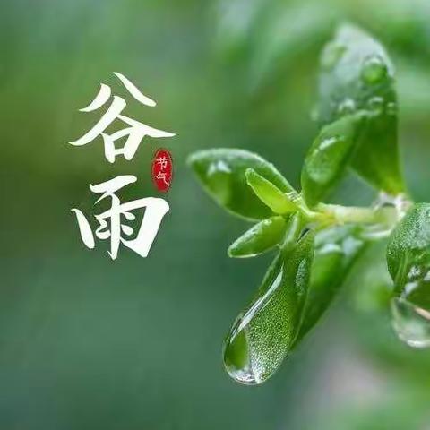 蓝天幼儿园小班年级组“二十四节气之谷雨”