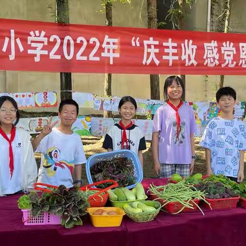 耕耘有时,收获已至﻿——王寨小学六2班“庆丰收·感党恩”主题活动