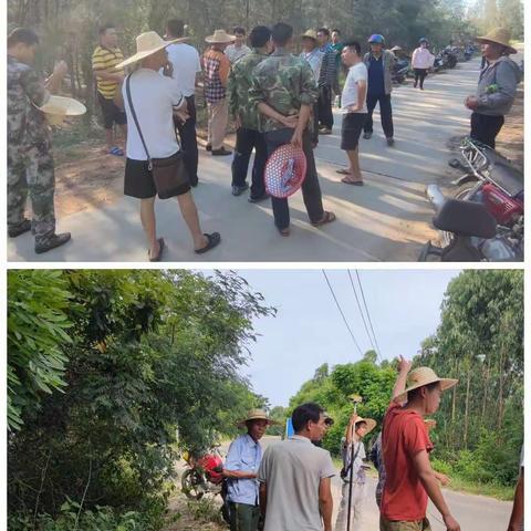 海头镇海南省环岛旅游公路征地工作简报