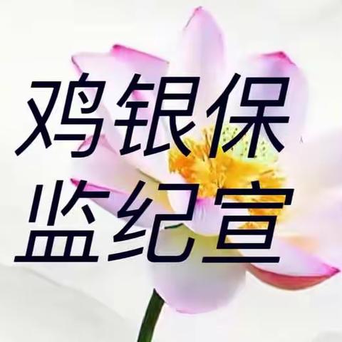 廉政基石专刊（第十五期）