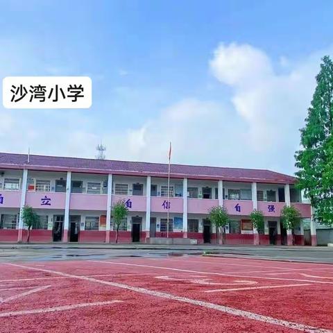 沙湾小学第八周小结