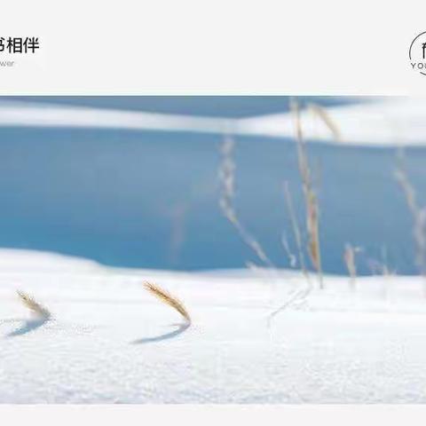 2019年回忆录