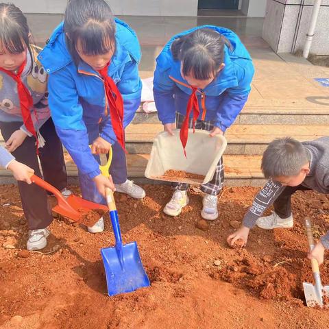 筑劳动基地    品劳动快乐——余江区第七小学劳动教育活动纪实