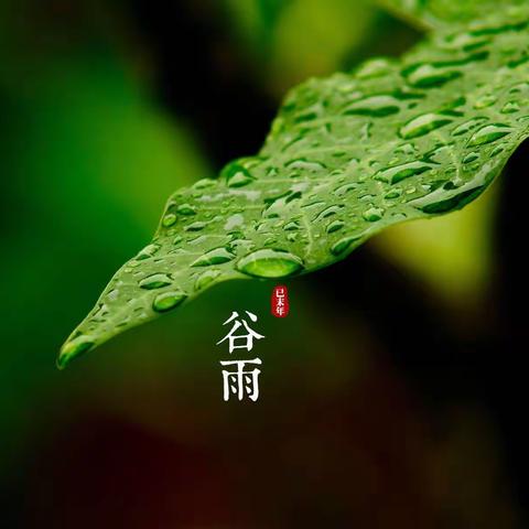 谷雨：独惭出谷雨，未变暖天风