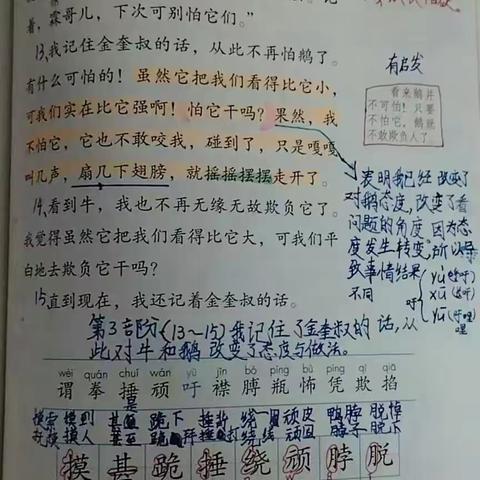 “宝葫芦的印迹”之“批注阅读，思维碰撞”