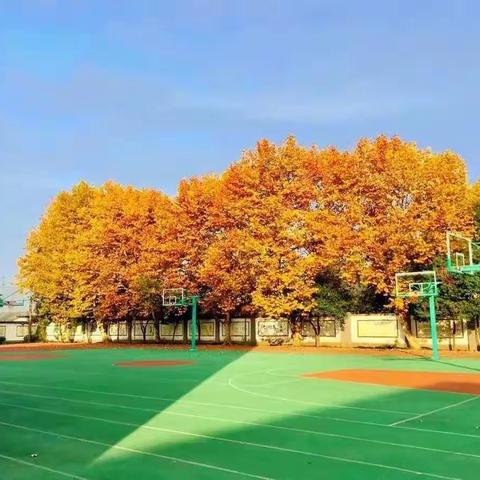 居家抗疫 “劳”记美好—— 向城镇中心小学一年级