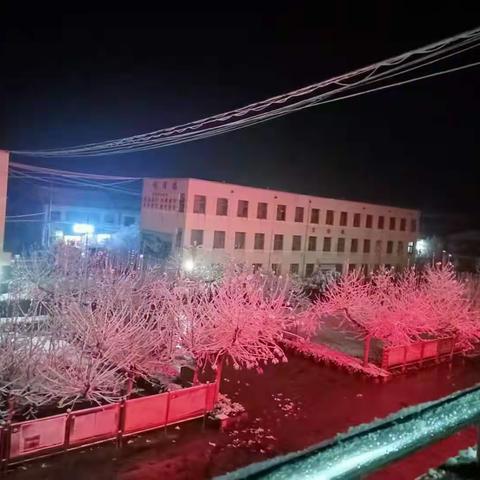 老家的第一场雪