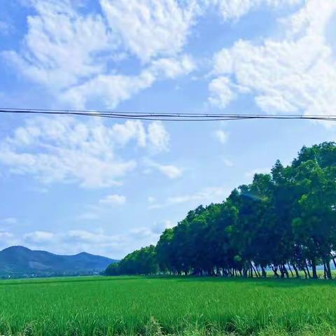 春意盎然正当时,温情相伴助成长—东方市特殊教育学校2021年春季送教上门工作简报(第九周)