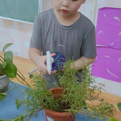 绣衣坊幼儿园苗苗二班宗子睿小朋友的个人档案