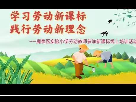 学习劳动新课标 践行劳动新理念——鹿泉区实验小学劳动教师参加新课标线上培训活动