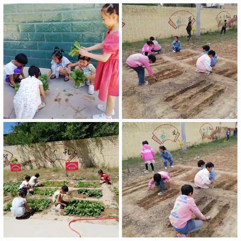 娇嫩的花朵，茁壮地成长——子干小学二年级学生成长记